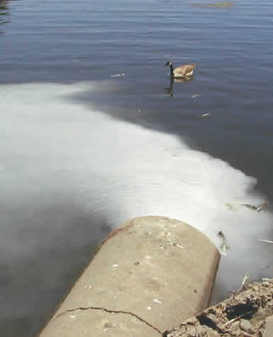 Storm drain outlet