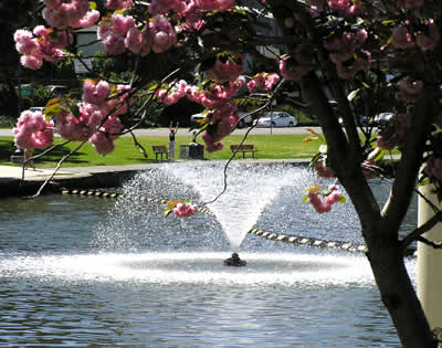 Embarcadero Fountain